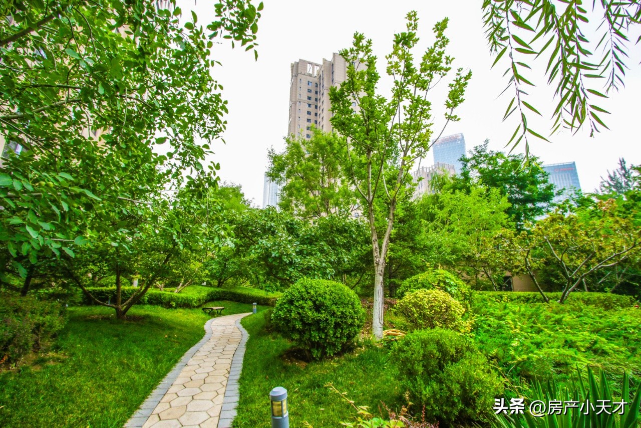 北京望京高档房排名,望京最好的富人区