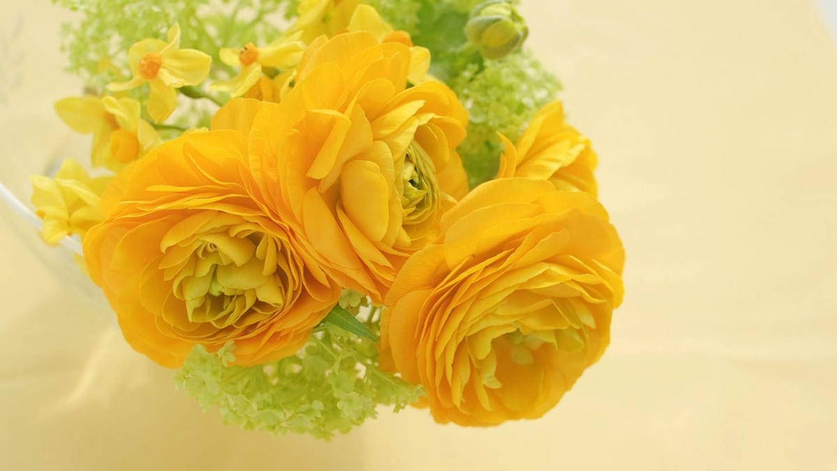 下周运势极佳的四大星座,下周运势荣登红榜的四大星座