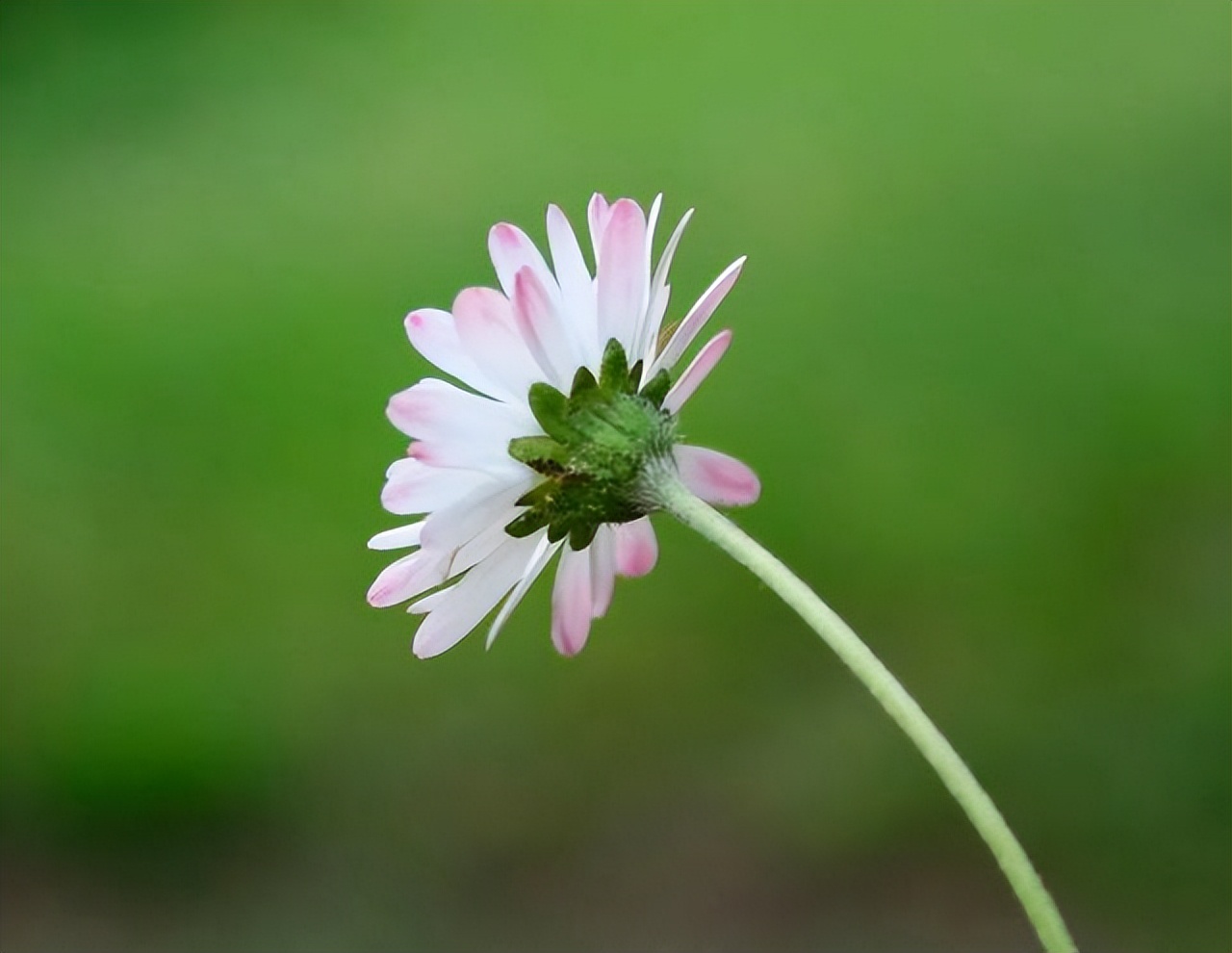 与人交往最怕遇到小人,远离不懂人情往来的人