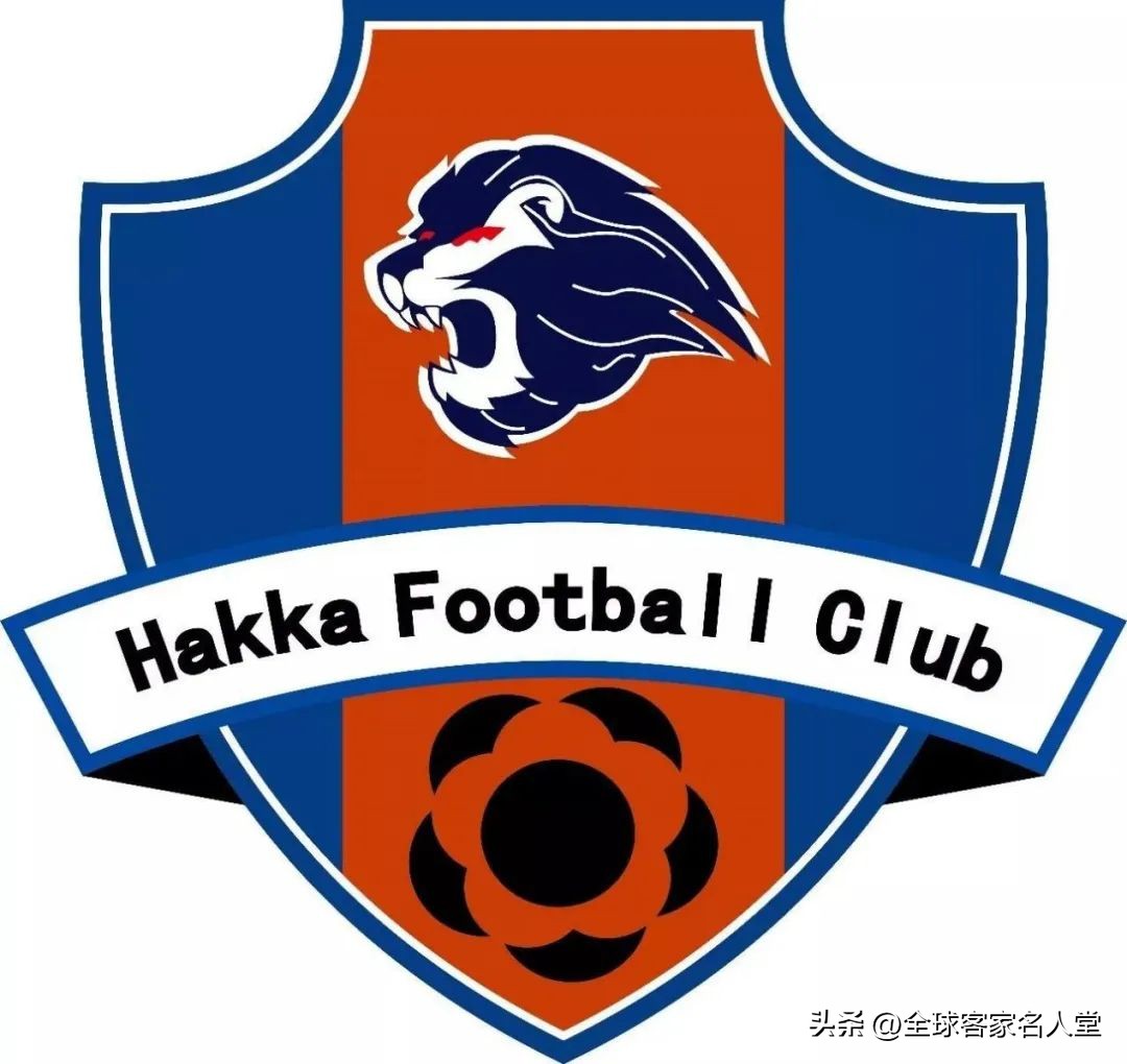 足球历史上十大经典,关于足球的历史简介