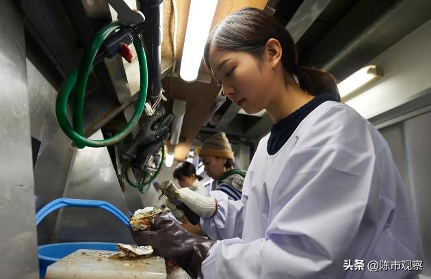 又是“不怀好意”？日本企业高调宣布，以2.5亿收购中药企业