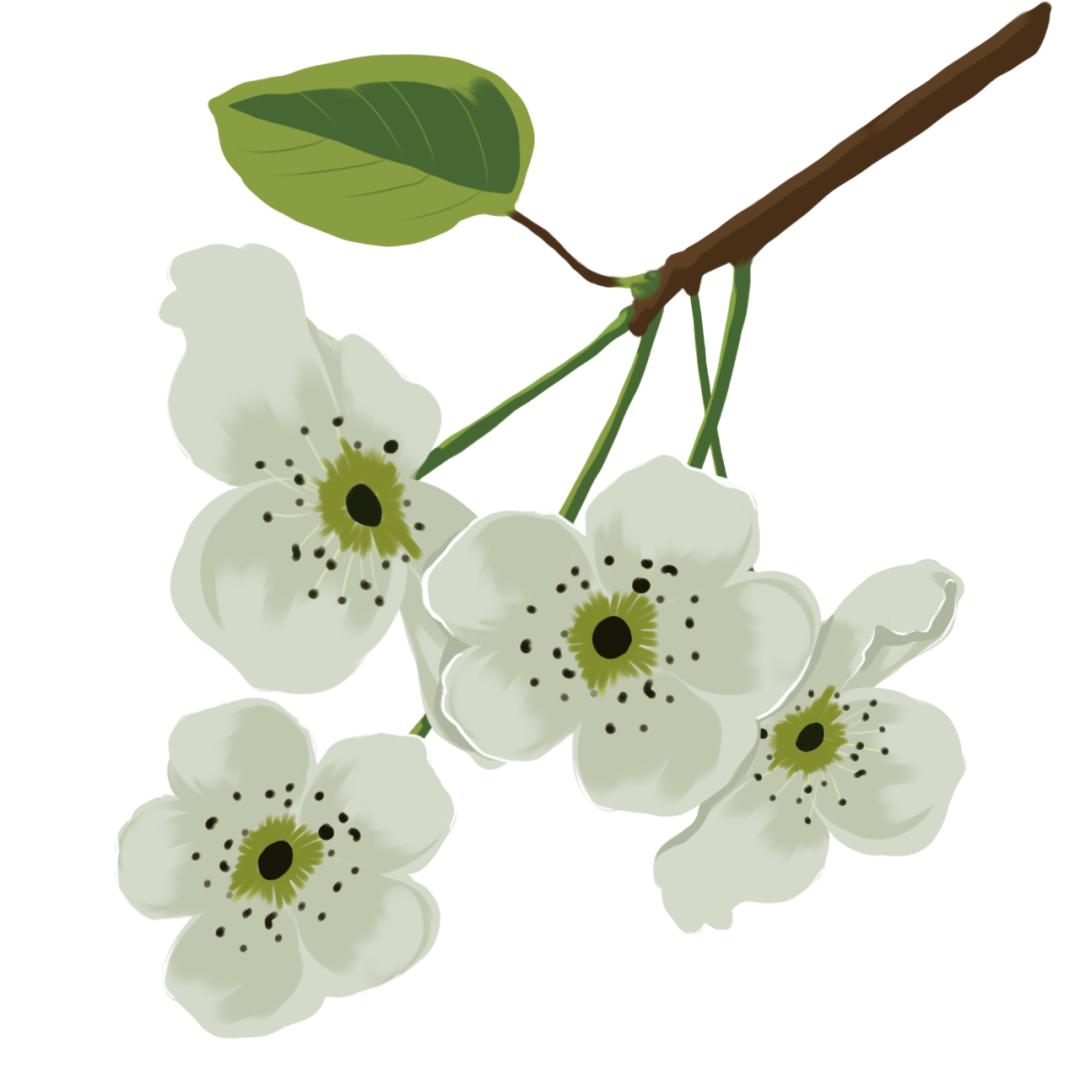 三月机票最便宜性价比最高的旅游,机票最便宜的旅游地7月