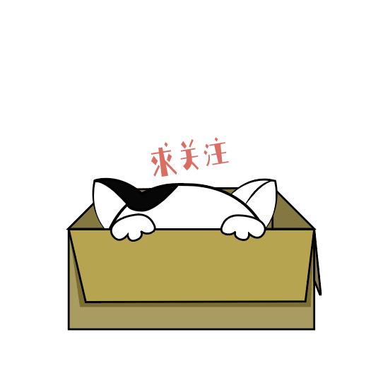 比熊鼻子有三指长纯不纯,怎么知道买的比熊是小体还是标体