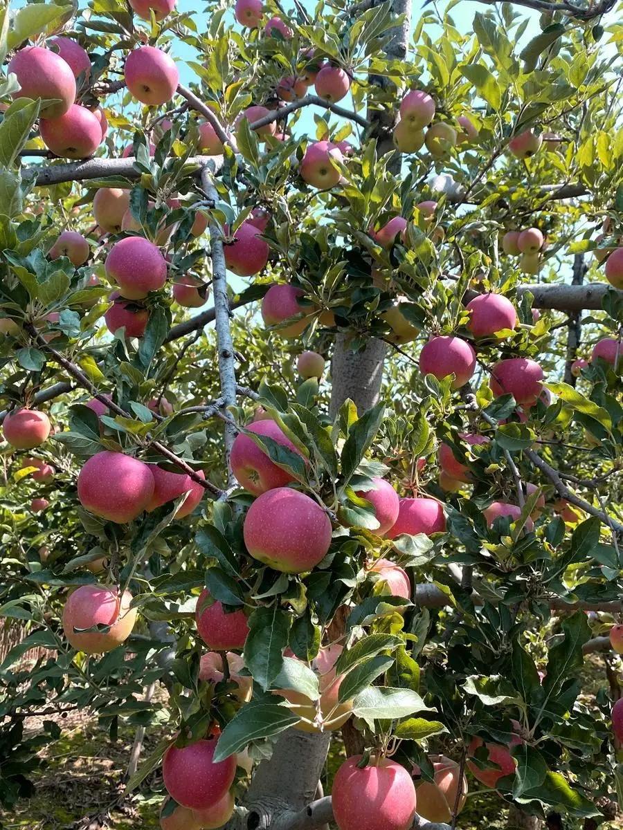 普通人如何利用股市下跌挣钱,普通人如何在股票里赚钱