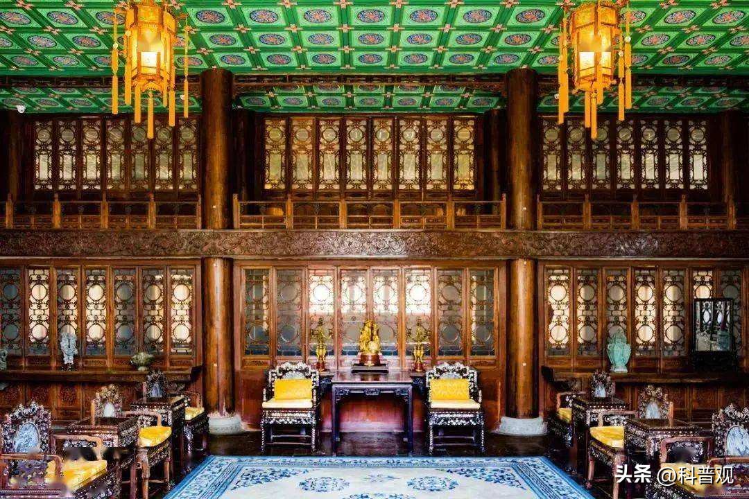 金丝楠木有多贵树苗才12元一棵,金丝楠木树价值两亿多