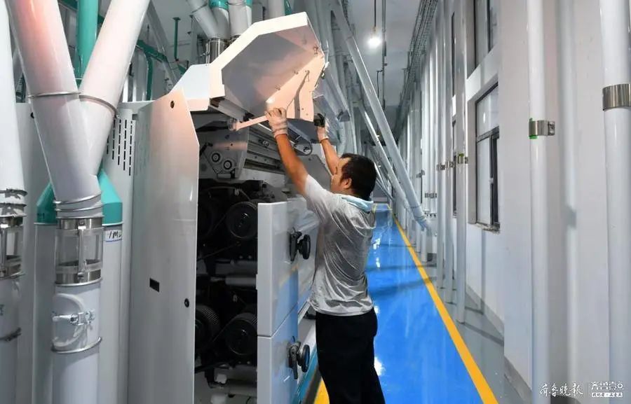 好品山东|干对百姓有利的事，山东利生集团从小作坊到龙头企业