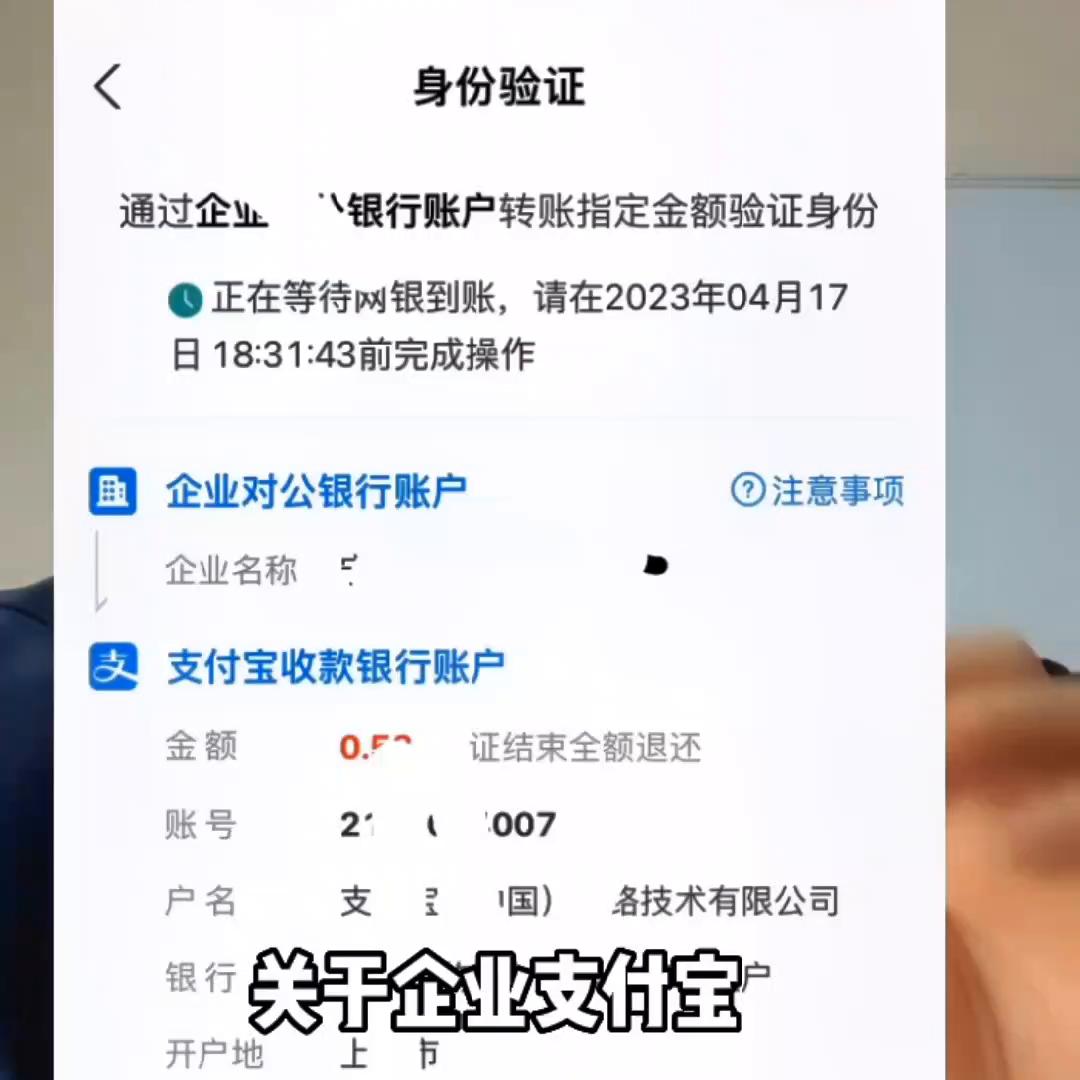 支付宝企业对公账户打款认证流程,支付宝对公账户打款验证怎么解决