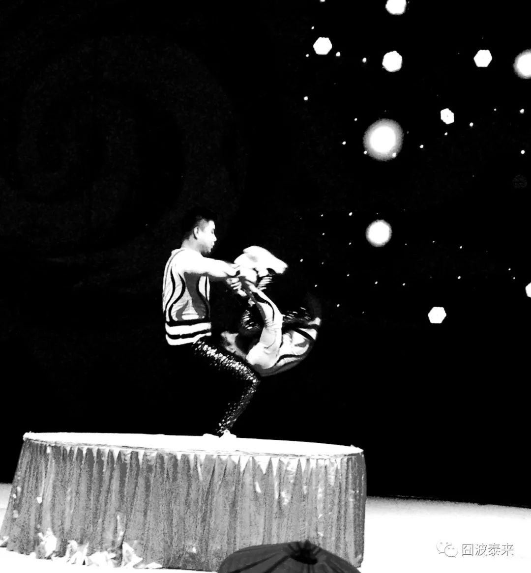 一碗鲜羊杂汤,热乎乎的一碗羊杂汤