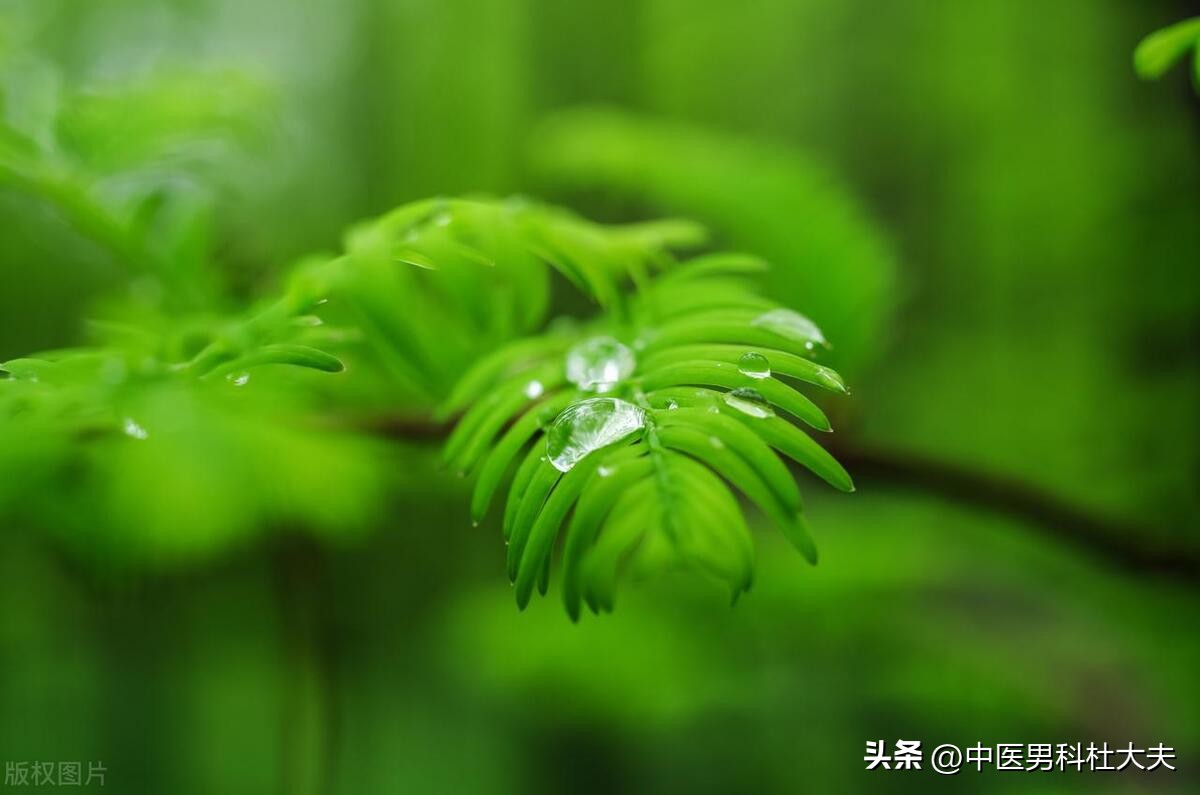 湿热下注引发前列腺炎怎么办,湿热下注引起前列腺炎如何根治