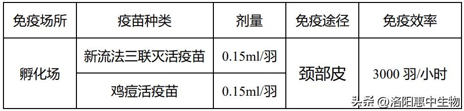 鸡痘症状及治疗方案,鸡痘高发期如何防控
