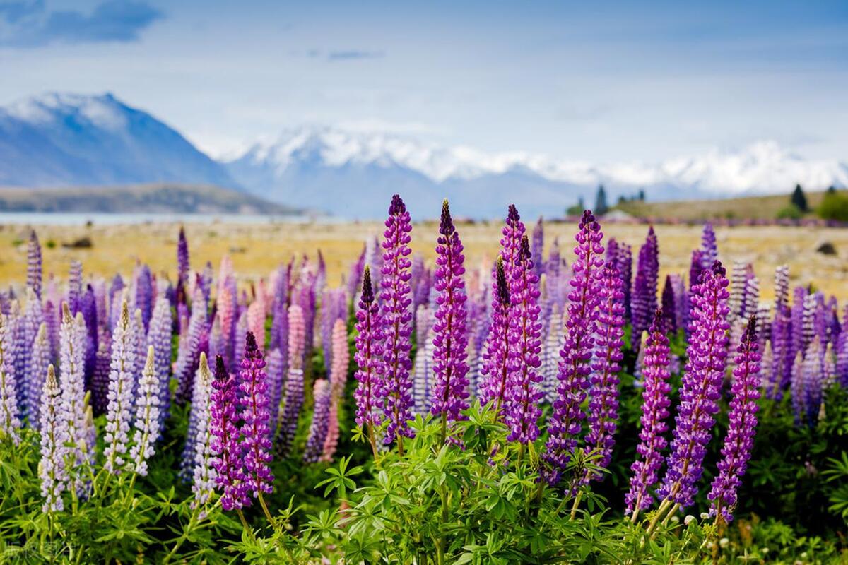 此生必去的三个国家,这一生必去的10个国家