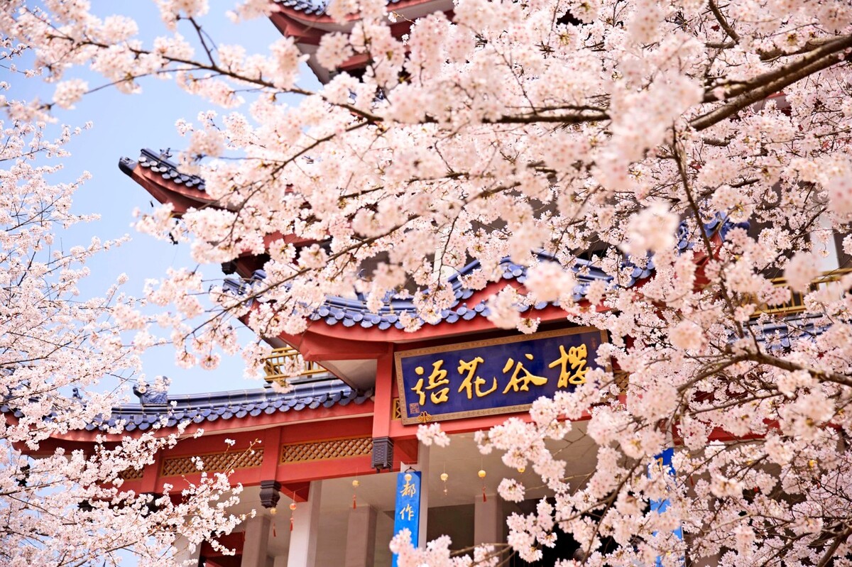 一首春景词：劝谏世人要及时行乐，人生的欢乐比金钱更重要