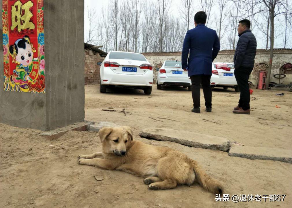 回家过年前要做什么,回家过年应该做什么