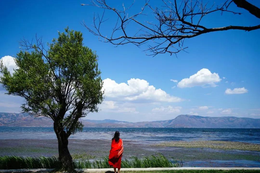 以儒治世以佛家治心,以佛治心以道治身以儒治世