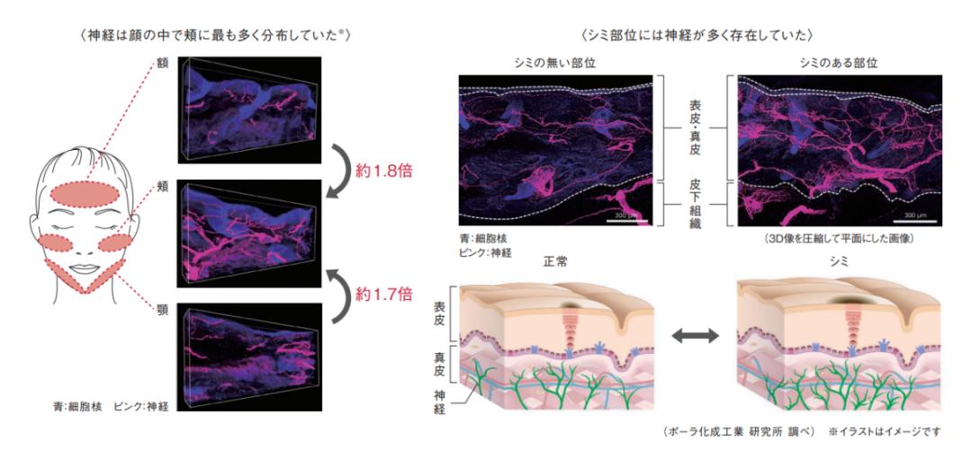 盘点4款大牌美白精华,美白精华合集8款