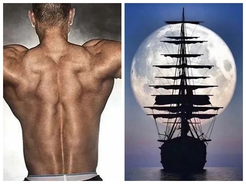 为什么会掉腰子,掉腰子是什么