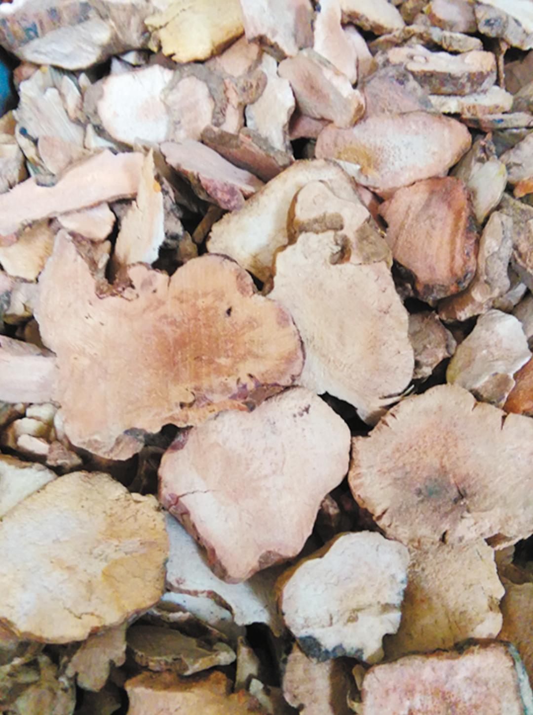 滋阴补阳健脾祛湿热的汤,夏季祛湿要饮这汤老少皆宜