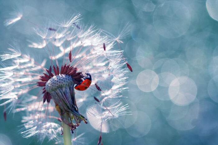 中专是5+2好还是3+4好,上中专上3+2好还是上3+3好