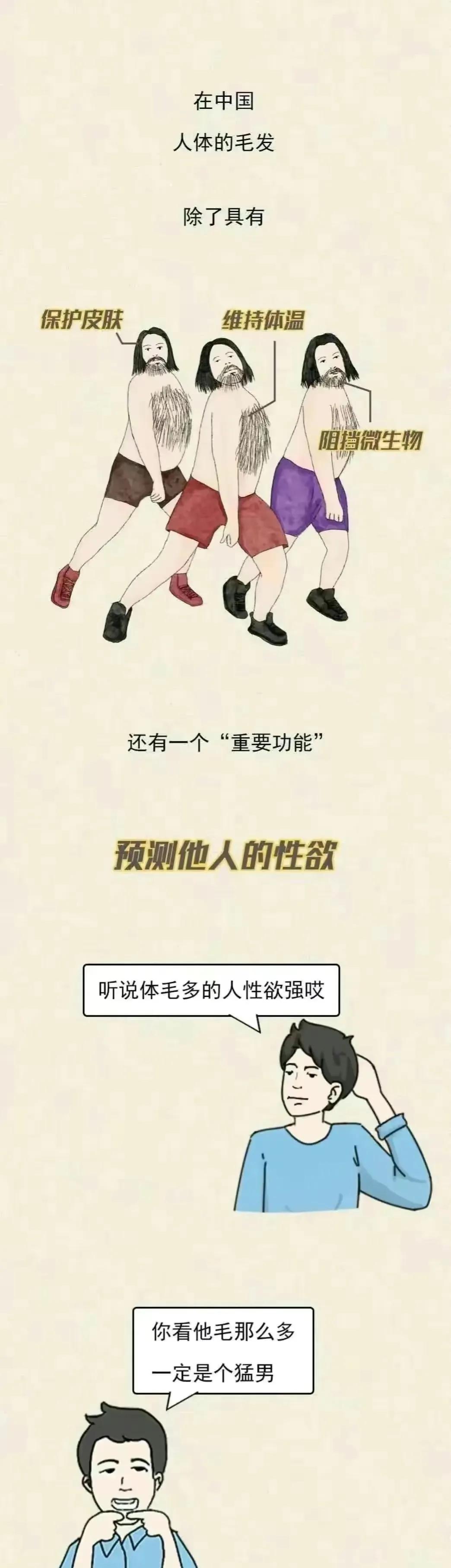 男人的毛发旺盛代表什么,体毛多的男人是雄激素旺盛吗
