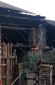 这就是李某和李女士的区别，现在连“马赛克”都开始区分颜值了