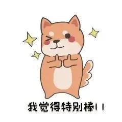 养殖石蛙深山老林,龙泉石蛙野生