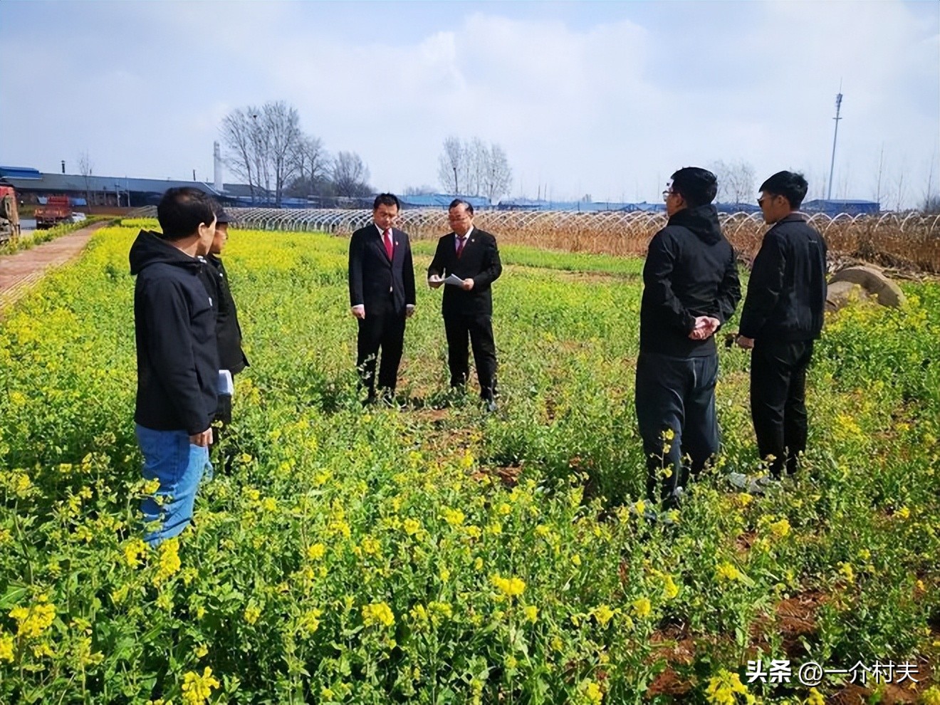 农村土地以后怎么耕种与承包,农村土地承包有没有变动