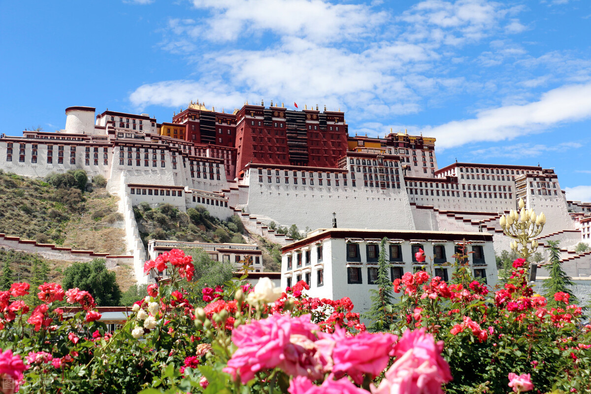 旅游为什么要从众,旅游为什么要吸引人