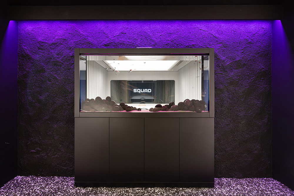 自由畅想云科技公司SQUAD基辅总部大楼设计欣赏