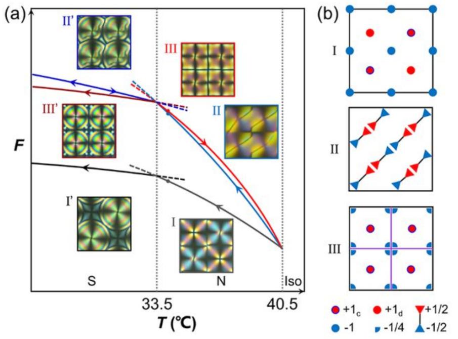 南大陆延青团队揭示液晶相变机制，为构筑亚稳态结构带来全新思路