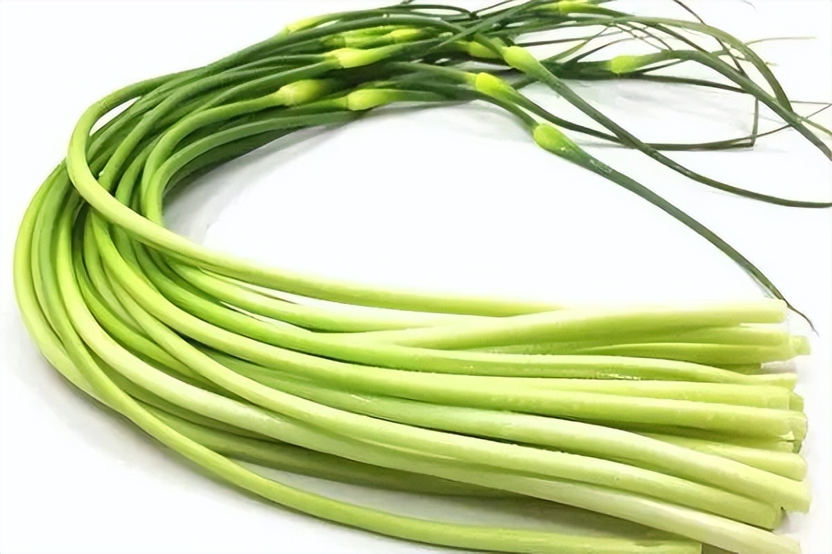 浙江人常吃的蔬菜有哪些,幼儿园常吃的蔬菜有哪些