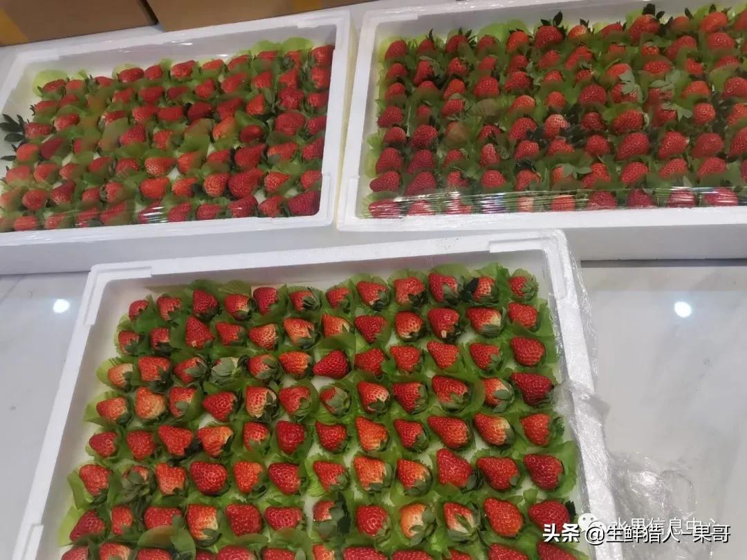 在水果中浆果是分哪几种,水果分类浆果