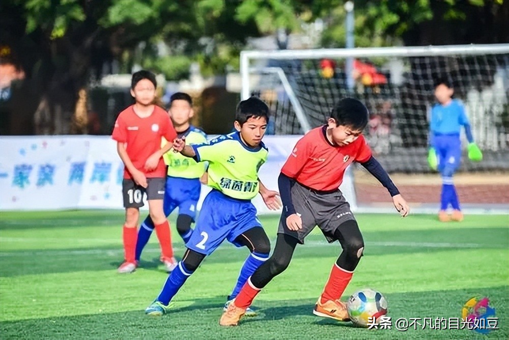 目睹20年之怪现象,目睹二十年之怪现象