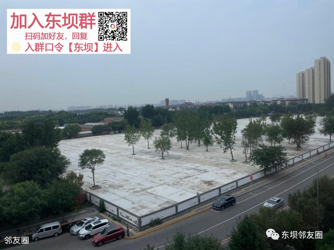东坝这块地已铺好，竟然是这个用途？