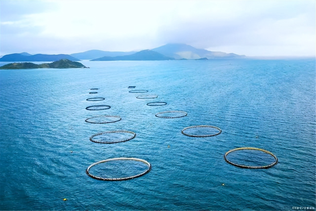 二氧化氯水产养殖使用注意事项,二氧化氯在水产养殖中的使用方法