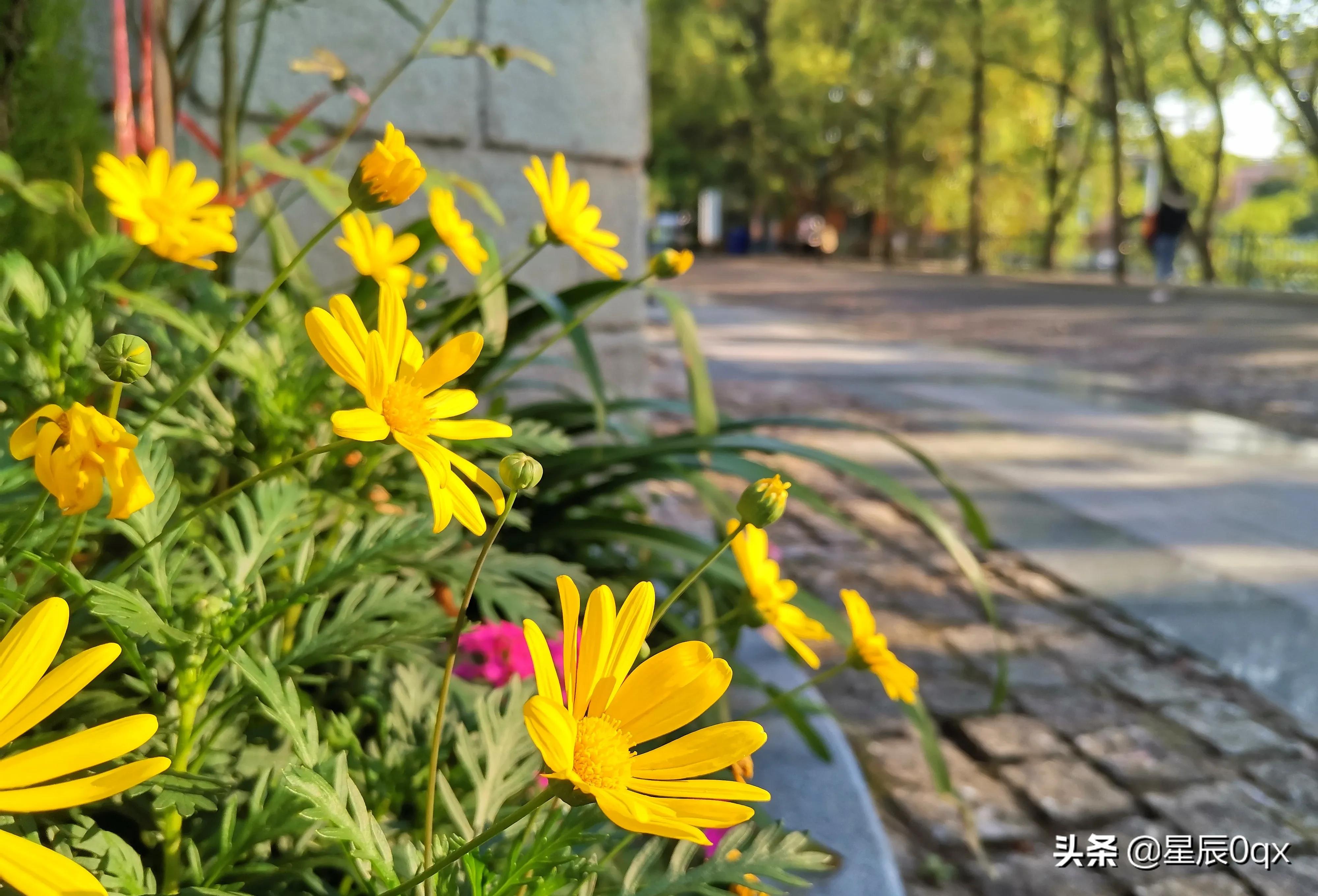 音乐生活更精彩的句子简短,形容音乐美妙的句子