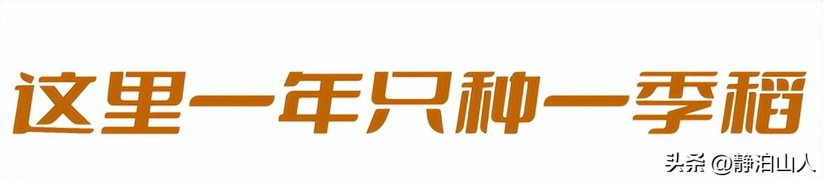 桂林龙脊梯田攻略12月推荐去吗,龙脊梯田游玩攻略