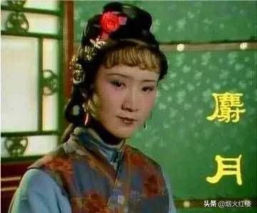 金陵十二钗又副册判词什么意思,金陵十二钗又副册