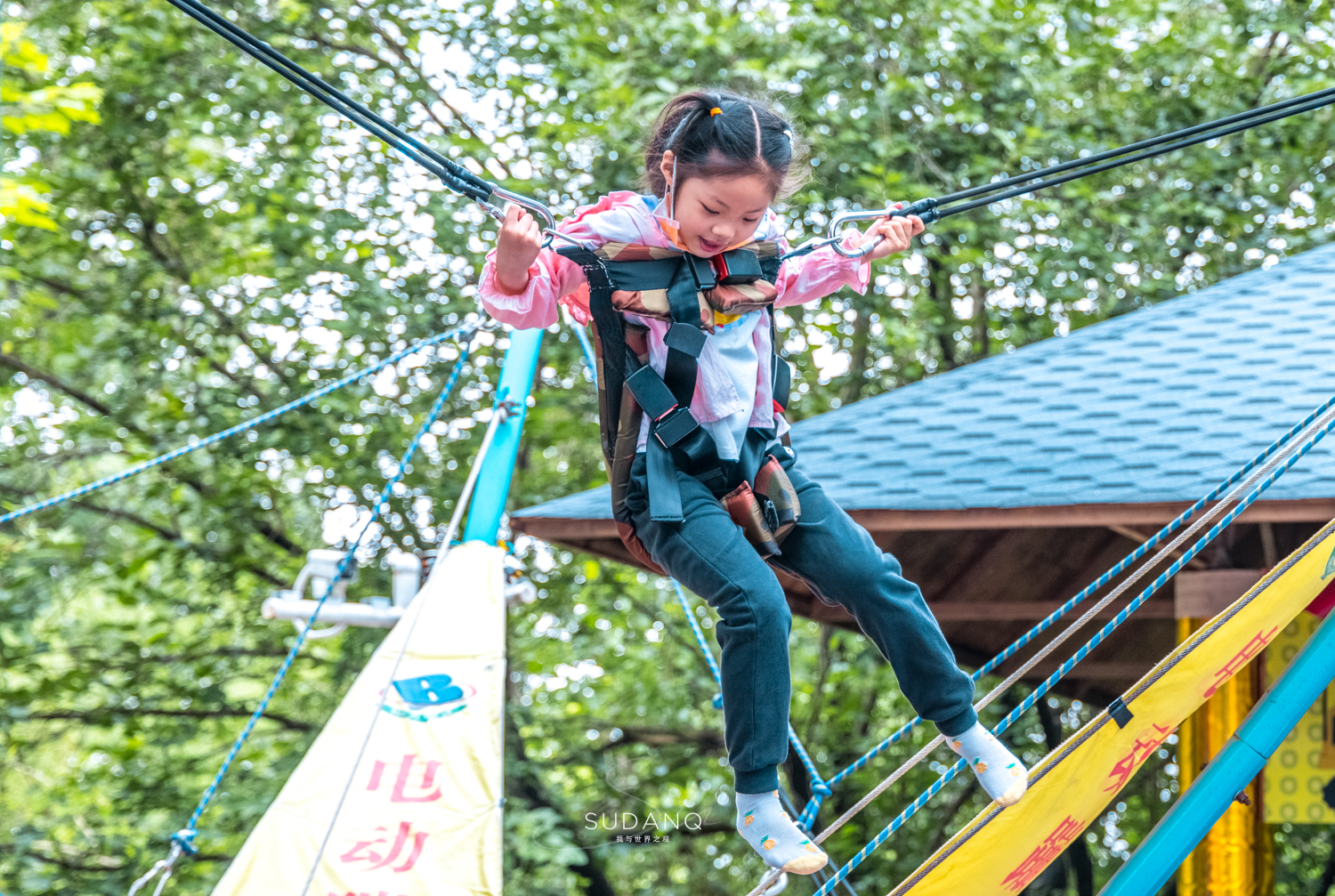 武汉哪个动物园比较适合小朋友玩,武汉值得带孩子去的动物园