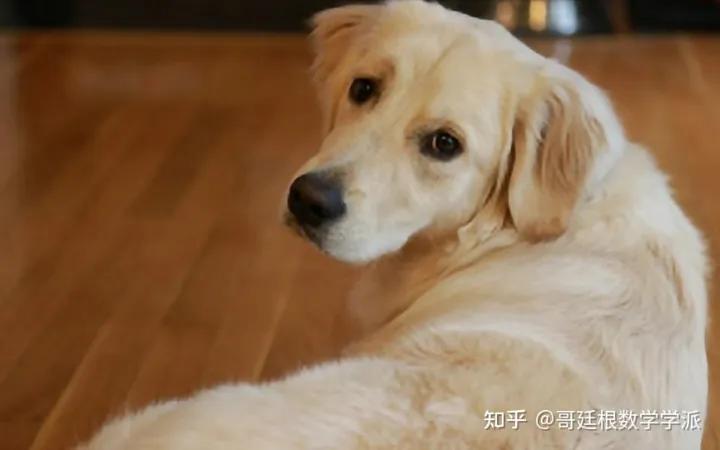 基于matlab3d图形重建深度学习,matlab图像增强深度学习算法