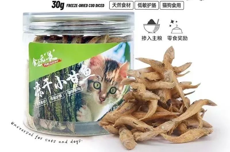 猫主子新零食,给猫的零食大礼包推荐