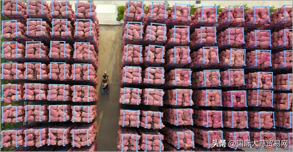 晒蒜因雨出现霉变行情何去何从