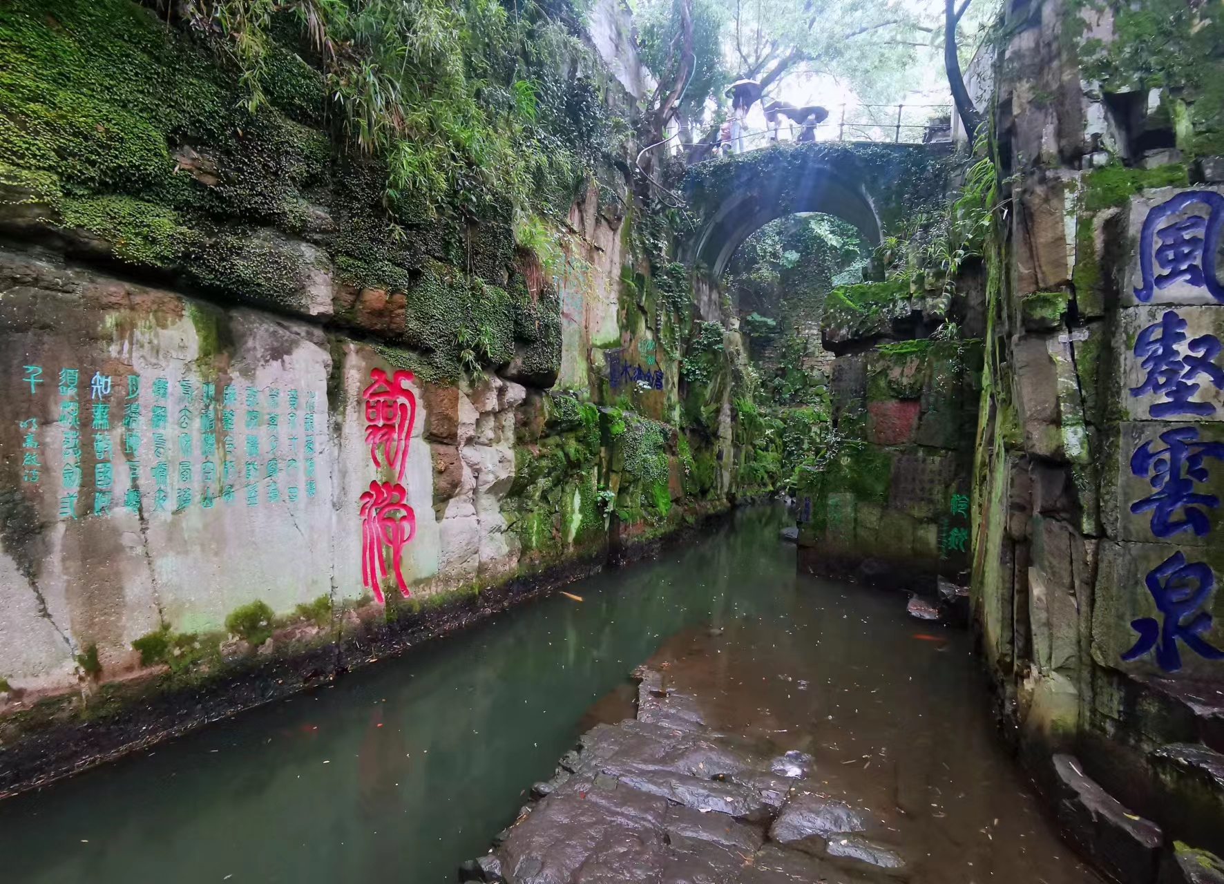 苏州虎丘茶花村,苏州最值得去的地方虎丘