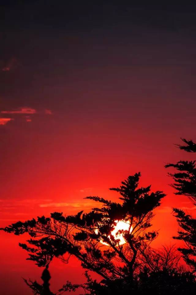 欣赏｜这七种色彩，装点了红尘人间！