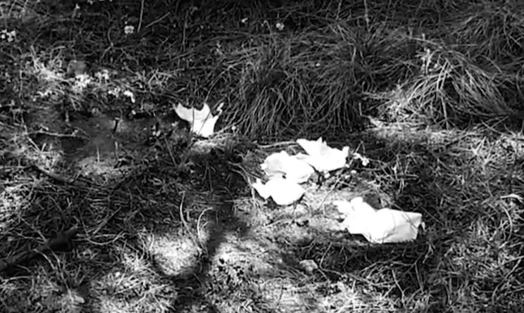 一男子变态性癖，专挑八旬老人下手，村中多名老人遭其玩虐致死