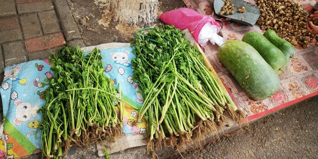 唐山哪卖辽峰葡萄,两串葡萄卖五百