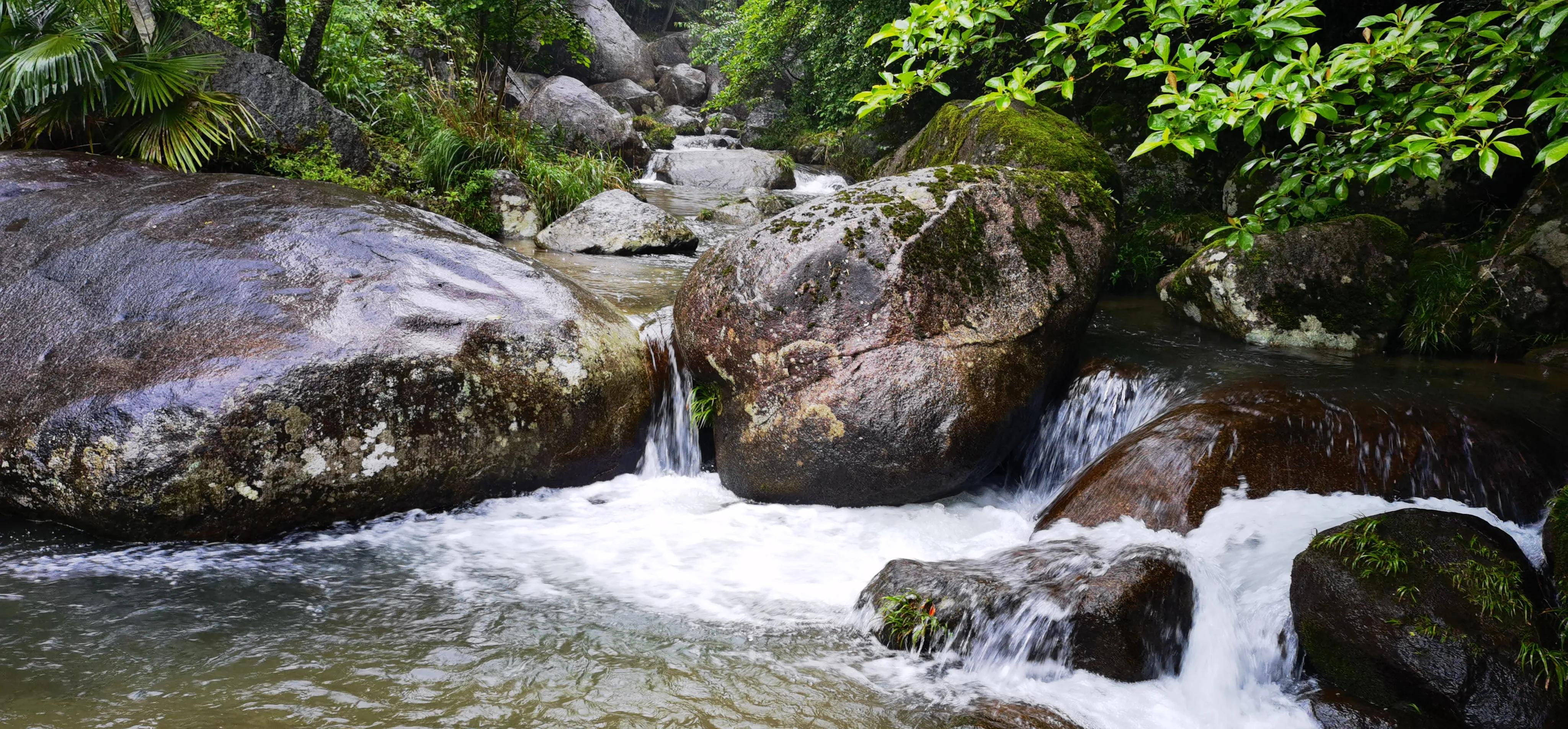 浏阳大围山森林公园浏阳河源头,大围山杜鹃花在哪个景点看