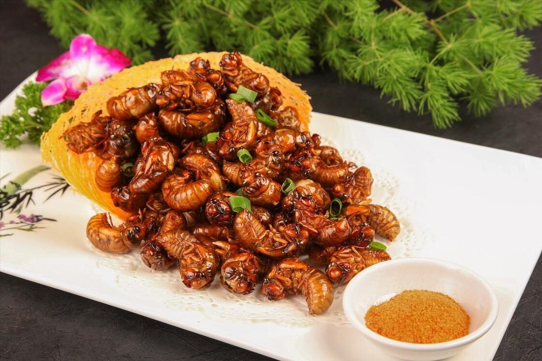 吃知了猴会上火吗好处与坏处,经常吃知了猴对身体有害吗