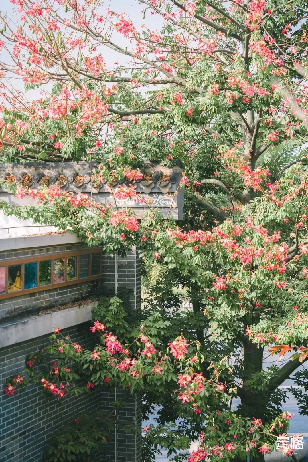 深圳有哪些24小时书房,深圳24小时免费开放书房