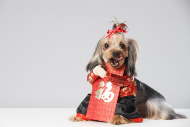 过年习俗完整版初一到十五禁忌,初一有什么讲究和习俗