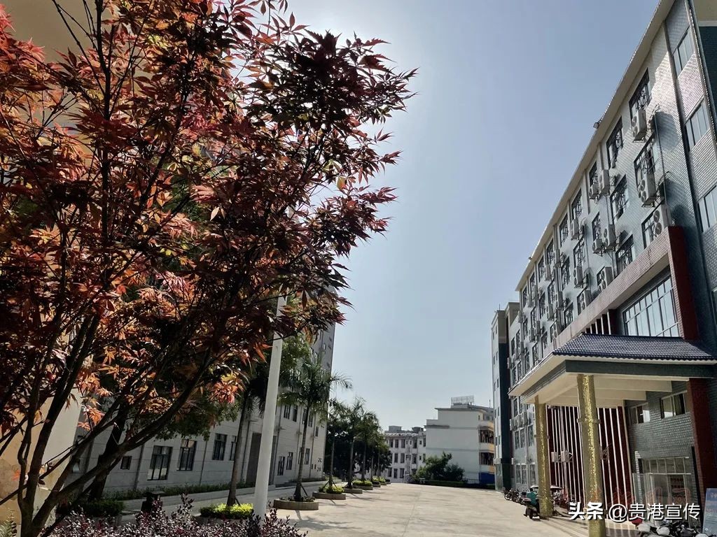 你好大安,大安高中联系方式